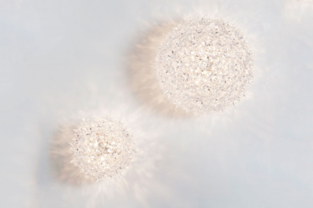 Bloom Wall Sconce Quickship