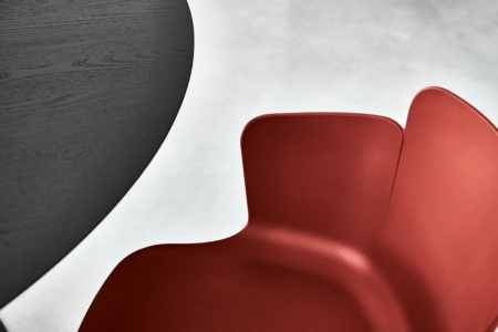 Calla Wood Dining Chair