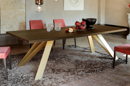 Celtis Wood Dining Table 