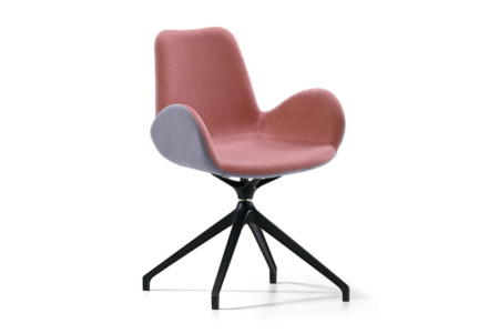 Dalia Conference Chair