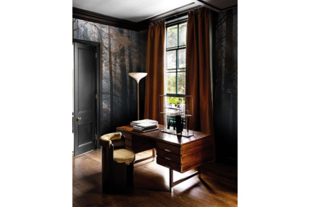 Canadian Forest DSQ2W01 Wallpaper