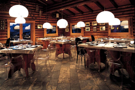 Small Fl/y Pendant Light