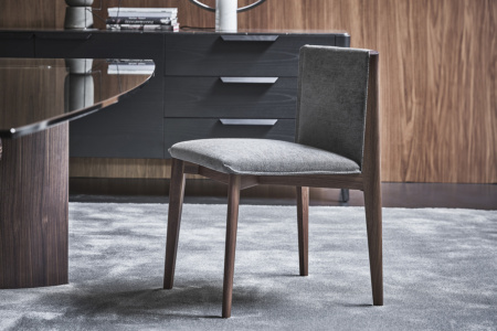 Ionis Dining Chair