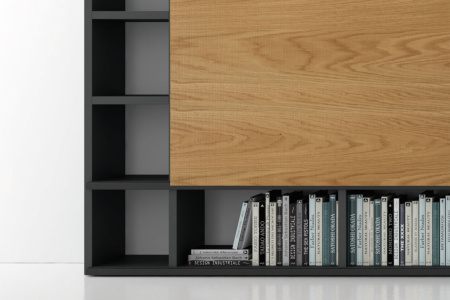 Pari & Dispari 313 Wall Unit