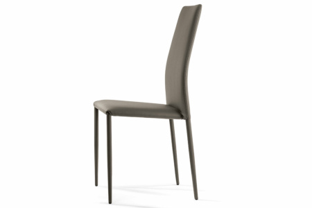 Renee Upholstered Dining Chair Quickship