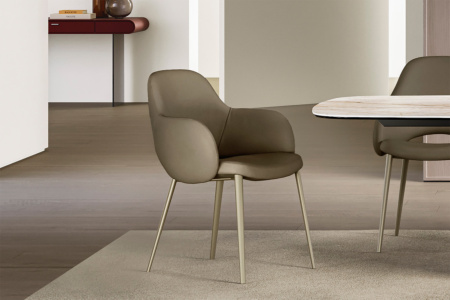 Silhouette Dining Chair