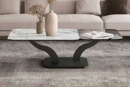 Sinuoso Coffee Table