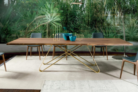 Status Live Edge Dining Table