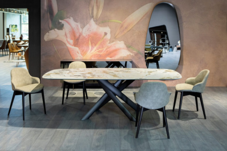 Hug Wood Dining Chair