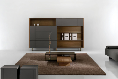 The Element Bookcase