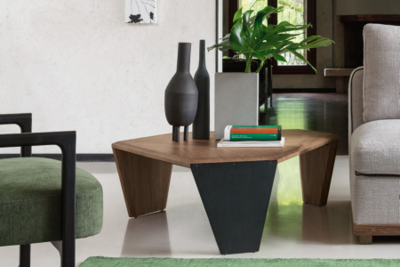 Tortuga Coffee Table