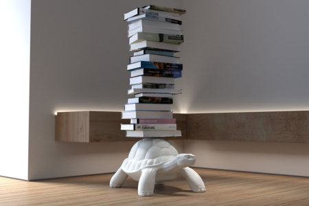 Turtle Carry Bookcase