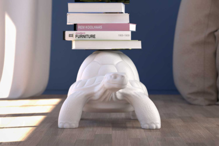 Turtle Carry Bookcase