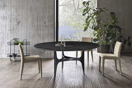 Universe Ring Dining Table
