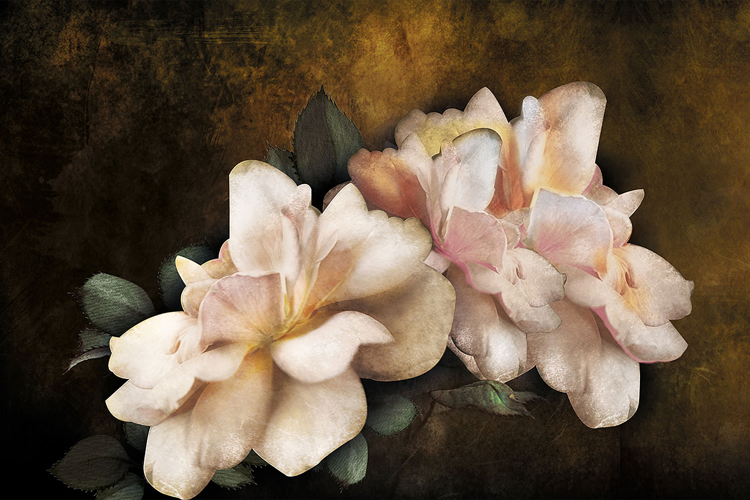 Big Flowers 1 Wallpaper