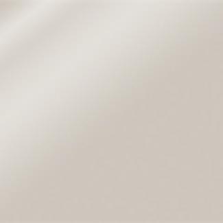 124 Mother of Pearl Glossy Lacquer