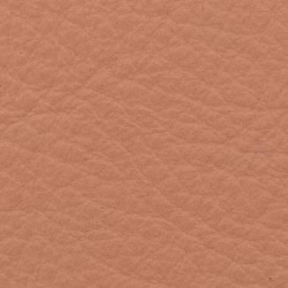 09 Pelle Plus Leather