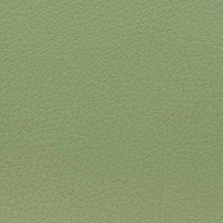 E0VE Green Eco Leather