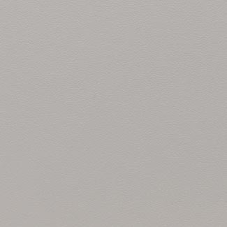 C0GS Ash Grey Hard Leather