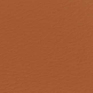 T410 CatF Time Eco-leather